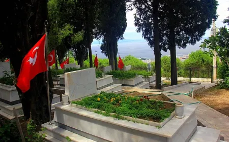 Şehit aileleri sizin siyasi dekorunuz ve konu mankeniniz değildir!