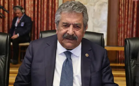 Feti Yıldız: Silah bırakmada devlet teyidi olmadan yasal adım yok