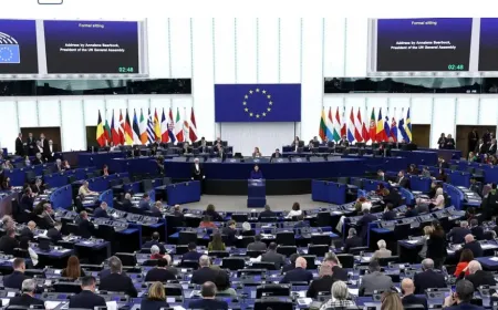 AP 2026 Türkiye Raporu: "Terörsüz Türkiye"ye Destek, Demokrasiye Şart