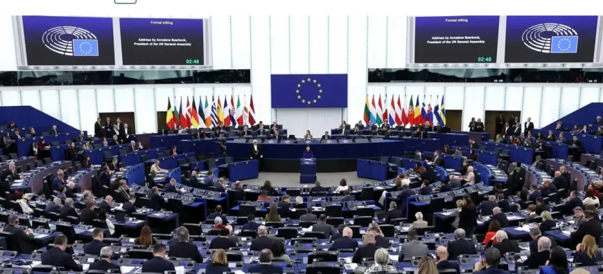 AP 2026 Türkiye Raporu: "Terörsüz Türkiye"ye Destek, Demokrasiye Şart