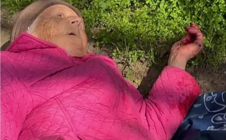 Rusya Paskalya ateşkesini saatler içinde yüzlerce saldırıyla bozdu
