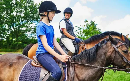 Equestrian Eco-Tourism Booms in Urla: A Comprehensive Guide to Investments and Operations