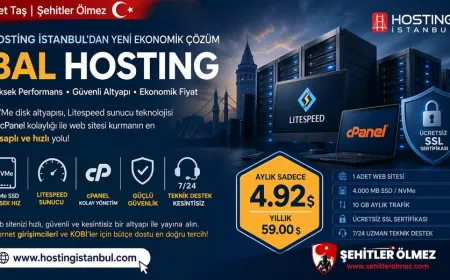 Hosting İstanbul'dan ekonomik Bal Hosting paketi fırsatı