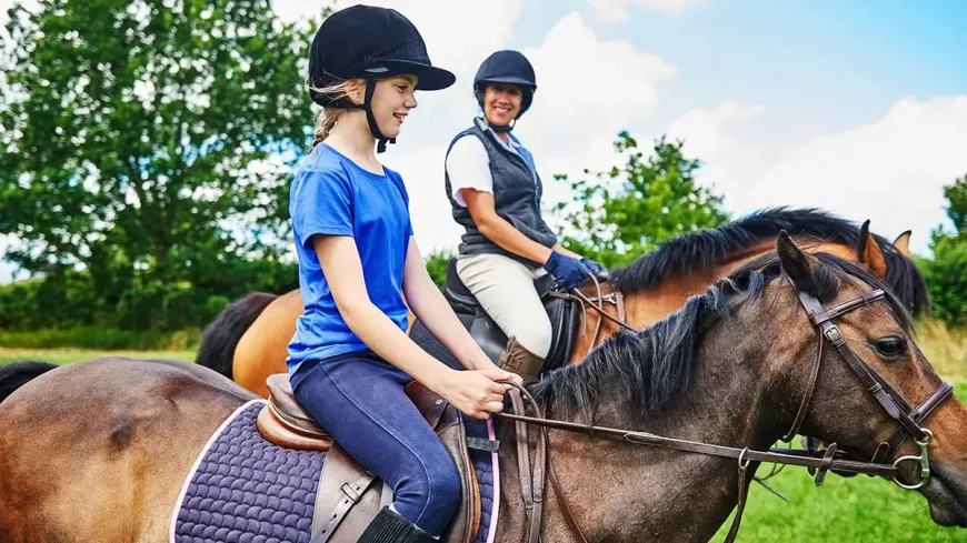 Equestrian Eco-Tourism Booms in Urla: A Comprehensive Guide to Investments and Operations