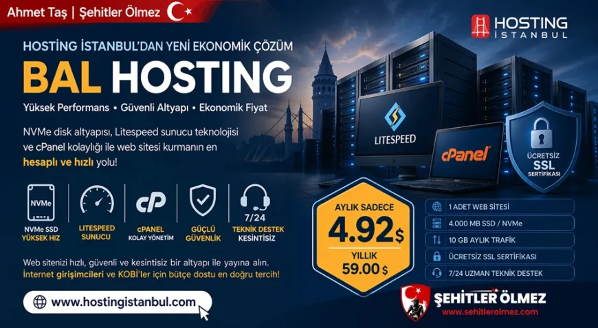 Hosting İstanbul'dan ekonomik Bal Hosting paketi fırsatı