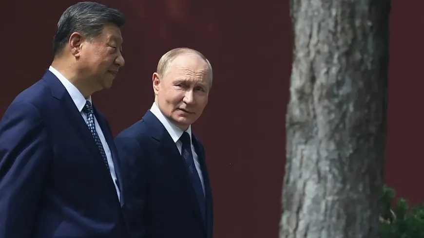 Putin ve Trump Çin için hangi ortak daha ikna edici?
