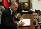 Berat Albayrak için kritik çağrı: Erdoğan itibar iadesi yapacak mı?