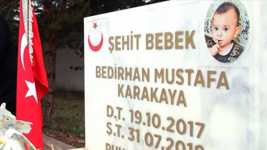 Terörsüz Türkiye için özür ve yüzleşme neden kritik?