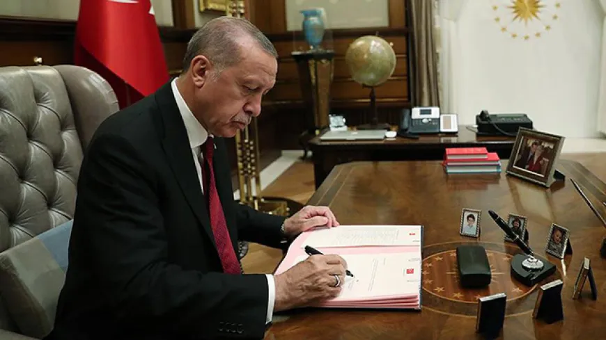 Berat Albayrak için kritik çağrı: Erdoğan itibar iadesi yapacak mı?