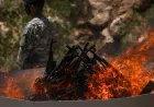 PKK’nın yıl dönümü açıklaması devletin temkinli çizgisini doğruluyor