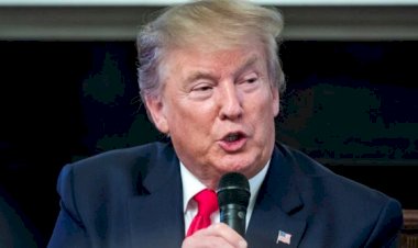 Trump: "Türkiye'yi suçlamıyorum"