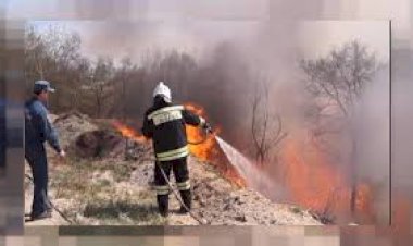 Rus Şamanlar, Sibirya’daki yangın söndürme çalışmalarına 'yağmur duasıyla' destek verecek