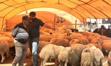Kurbanın maliyeti arttı satıcılar dertli: Götürüp ahıra geri koyacağım