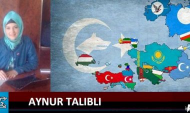 İLBER ORTAYLI DOĞRU SÖYLEYİR Türklükdən niyə qorxursunuz?!