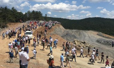 Türkiye'nin ormanları maden kuşatması altında