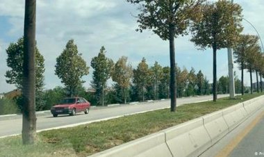Türkiye’nin ithal ağaca ihtiyacı var mı?