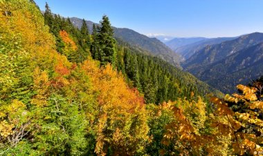 Artvin Hatila Vadisi'nde maden tehlikesi