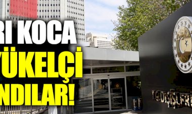Dışişleri'nden büyükelçi ve daimi temsilci atamaları