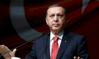 Erdoğan, Pelikancılar ile Bakan Gül kavgasında kimi seçti?