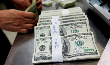 Fitch'den Türkiye için yeni dolar kuru tahmini
