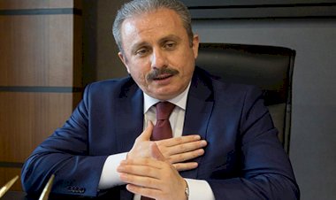 "Esasen sistem ittifaka mecbur etmiyor"