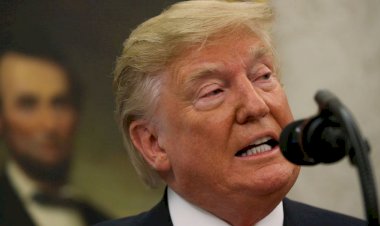 Trump: Türkiye ve Kürtler, IŞİD'li mahkumların kaçmalarına izin vermemeli