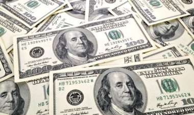 Merkez Bankası anketinde yıl sonu dolar kuru fiyatı yükseldi!