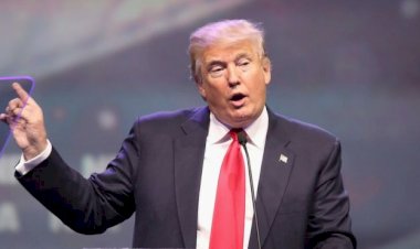 Trump'ın avukatı: 'Başkan birini vursa bile yargılanamaz'