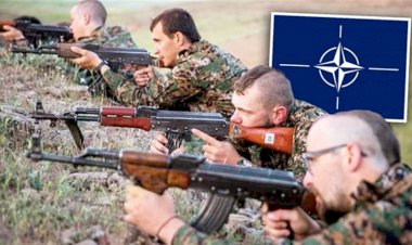 NATO-PKK ilişkisi hangi iktidar döneminde başladı