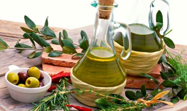 Delice yabani zeytinyağı üretimi ve faydaları
