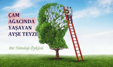 Çam Ağacında Yaşayan Ayşe Teyze