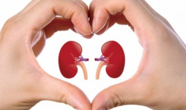 28 bin 272 kişi organ nakli bekliyor