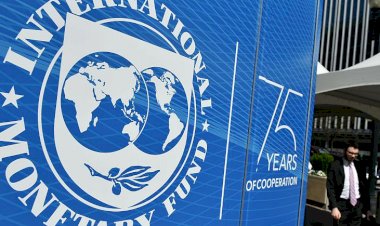 IMF Türkiye'den borç istedi mi?