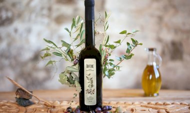 Ege Zeytin Ormanlarının Zeytinyağı Dünyanın En Prestijli Yağları Arasına Girdi