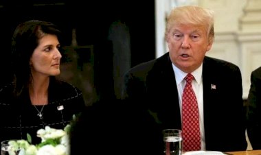 Nikki Haley: Trump eğer dizginlenmezse…