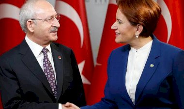 Selvi: Erdoğan, Millet İttifakı’nı parçalamayı hedefliyor
