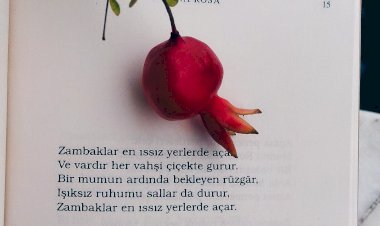 Mona Roza -  Sezai Karakoç
