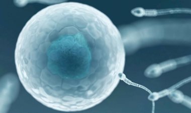 Dünyanın ilk HIV-pozitif sperm bankası Yeni Zelanda'da açıldı