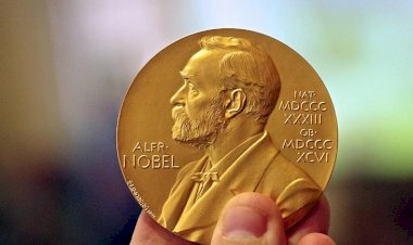 Nobel'de tecavüz istifaları