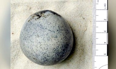 Arkeologlar yanlışlıkla 1700 yıllık yumurtaları çatlattı