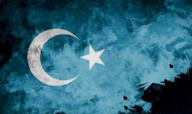Türkiye'de hangi kanal Doğu Türkistanlıları hedef aldı?