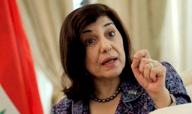 Esad'ın danışmanı Amerikan basınına konuştu: Türkler dahil herkes gidecek