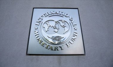 IMF'den Merkez Bankası’na bağımsızlık çağrısı
