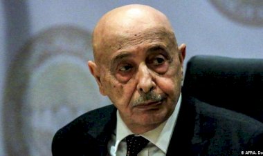 Libya Temsilciler Meclisi Başkanı’ndan AB’ye çağrı