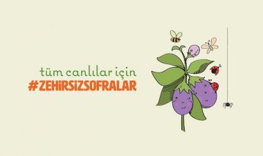 Ürünler Neden Geri Dönüyor?