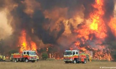Avustralya'da alevler Sydney'e dayandı
