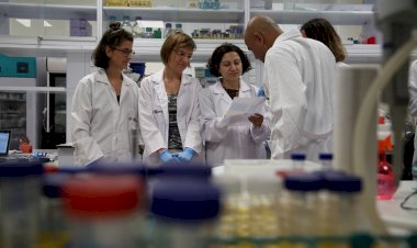 Kanserle Mücadelede Metastazdan Sorumlu Proteinler Yakalandı