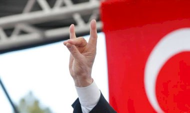 Viyana'da 'Bozkurt' işareti yapan 4 Türk'ün işine son verildi