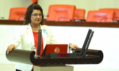 Suzan Şahin: Gazilerin emekli maaşını kesmek aymazlıktır!