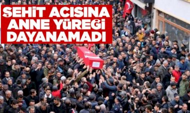 Şehit acısına anne yüreği dayanamadı